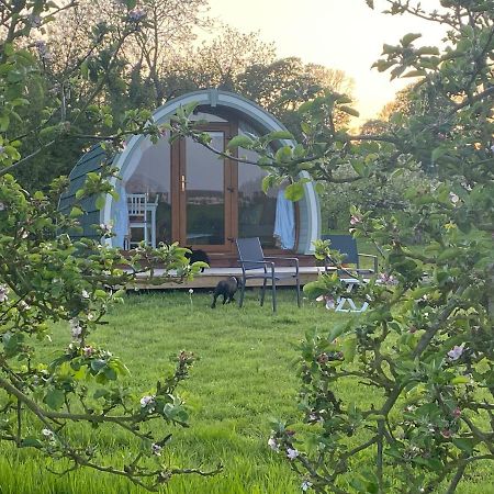 Orchard Luxe Glamping Pod Hotel Dungannon Exterior photo
