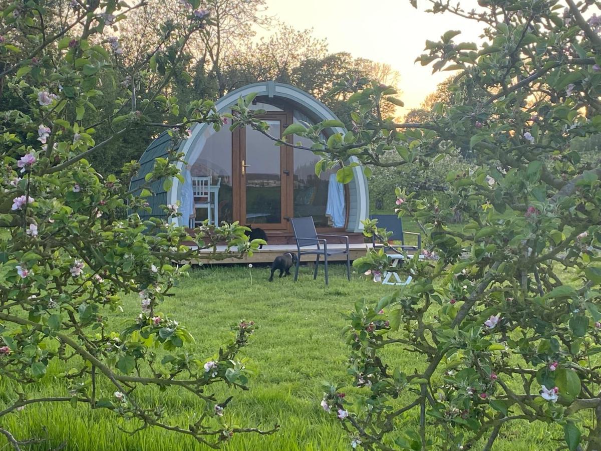 Orchard Luxe Glamping Pod Hotel Dungannon Exterior photo