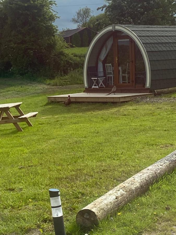 Orchard Luxe Glamping Pod Hotel Dungannon Exterior photo